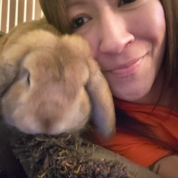 Bags, twillies, scarves, clothes, shoes, jackets, etc. - Picture 13 of 16